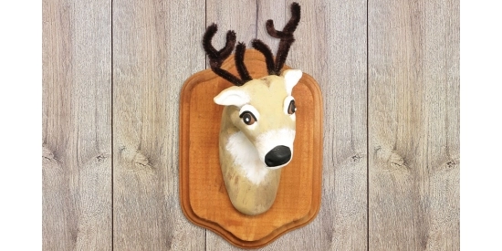 Prize Winning Buck