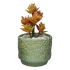 ACTÍVA New Blackjack White Earthenware Clay™, 4 lb (1.8 kg) Sample