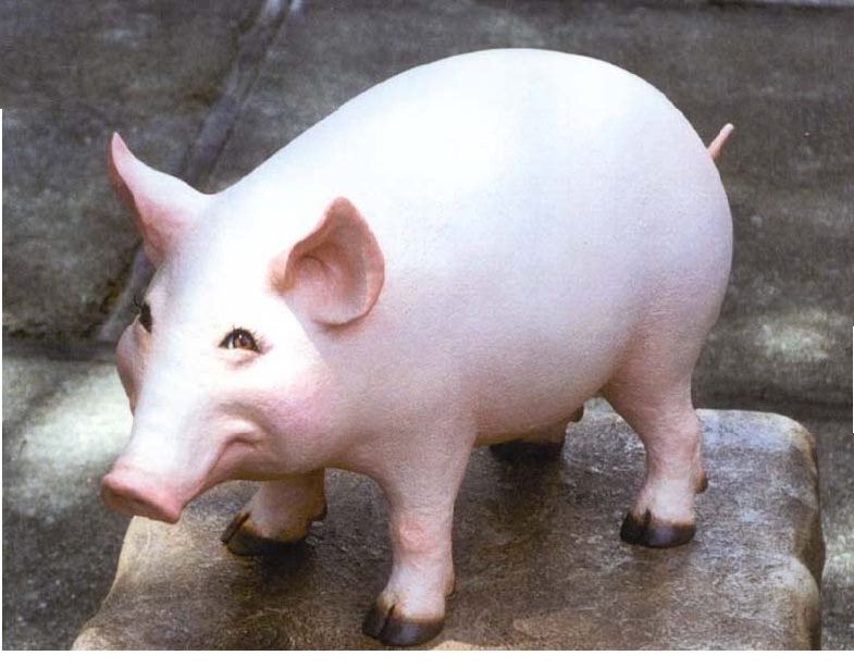 Create a Pig